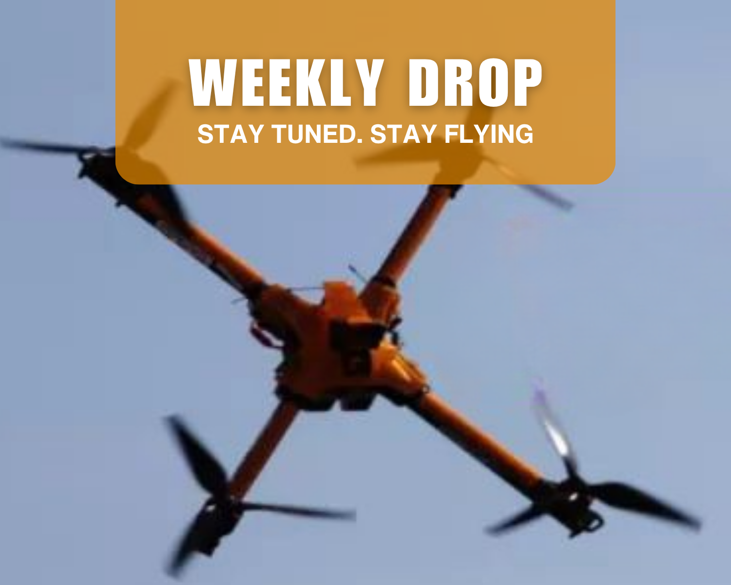 Weekly Drop: Gear, Tips & Deals Inside