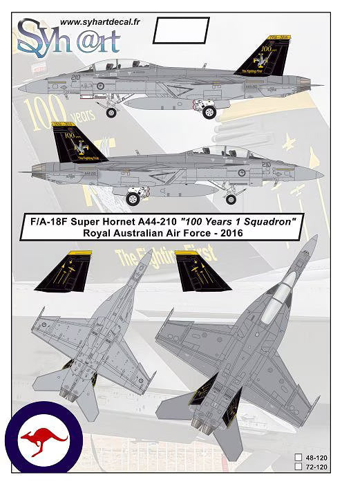 F/A-18F Super Hornet 100 Years 1 Squadron (Decal)