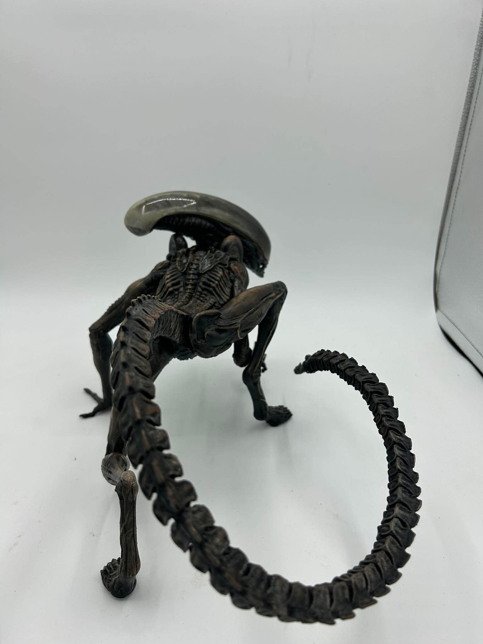 Small Xeno dog (Xeno Pup)
