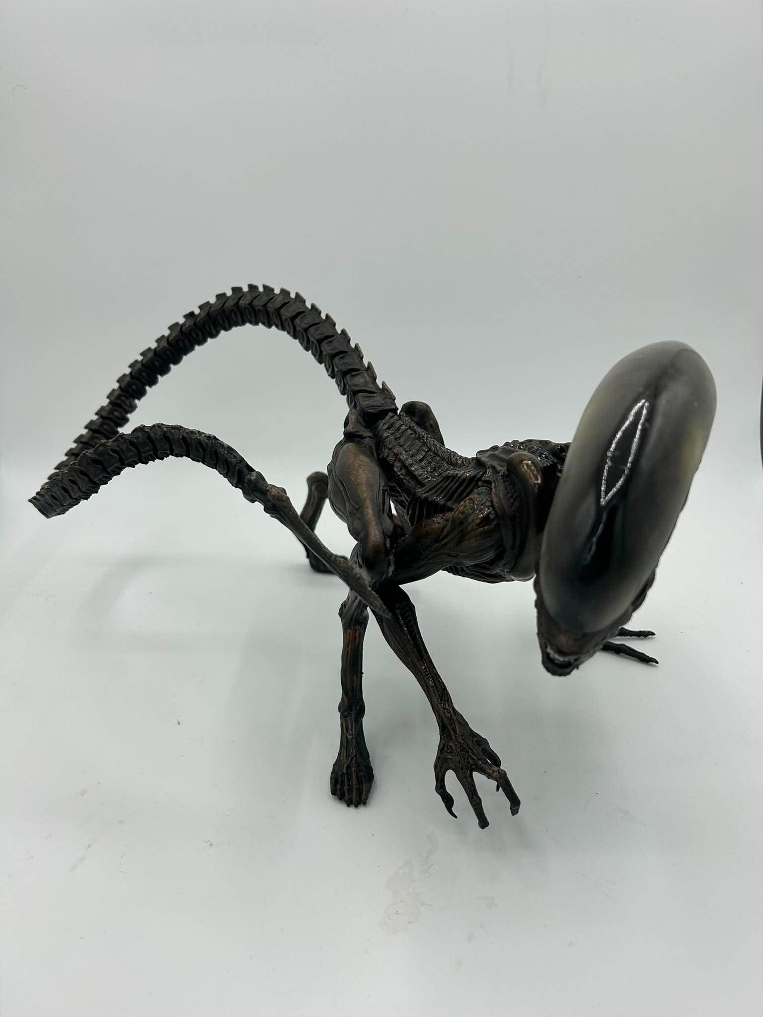 Small Xeno dog (Xeno Pup)
