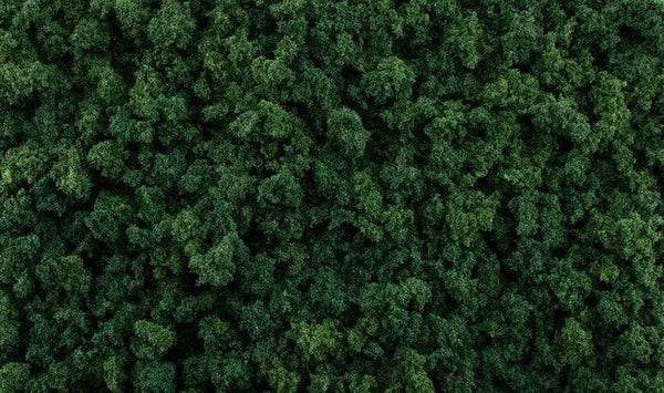 All Game Terrain - Dark Green Foliage Clumps - Rising Sun FPV