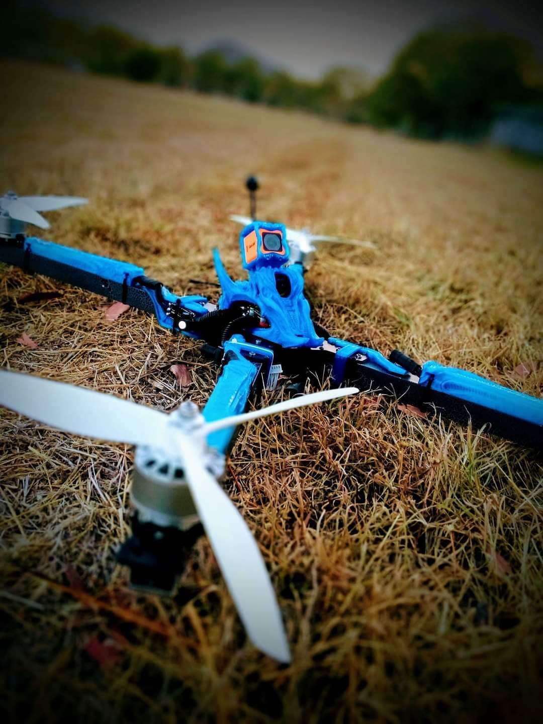 Big Fu*kin WEDGE (BFW) BEAST Class Frame - Rising Sun FPV