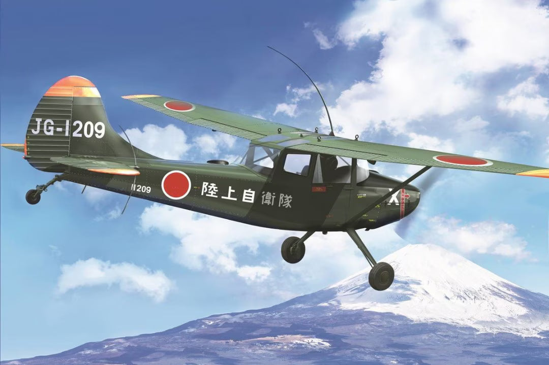 L-19/O-1 Bird Dog "Asian service"