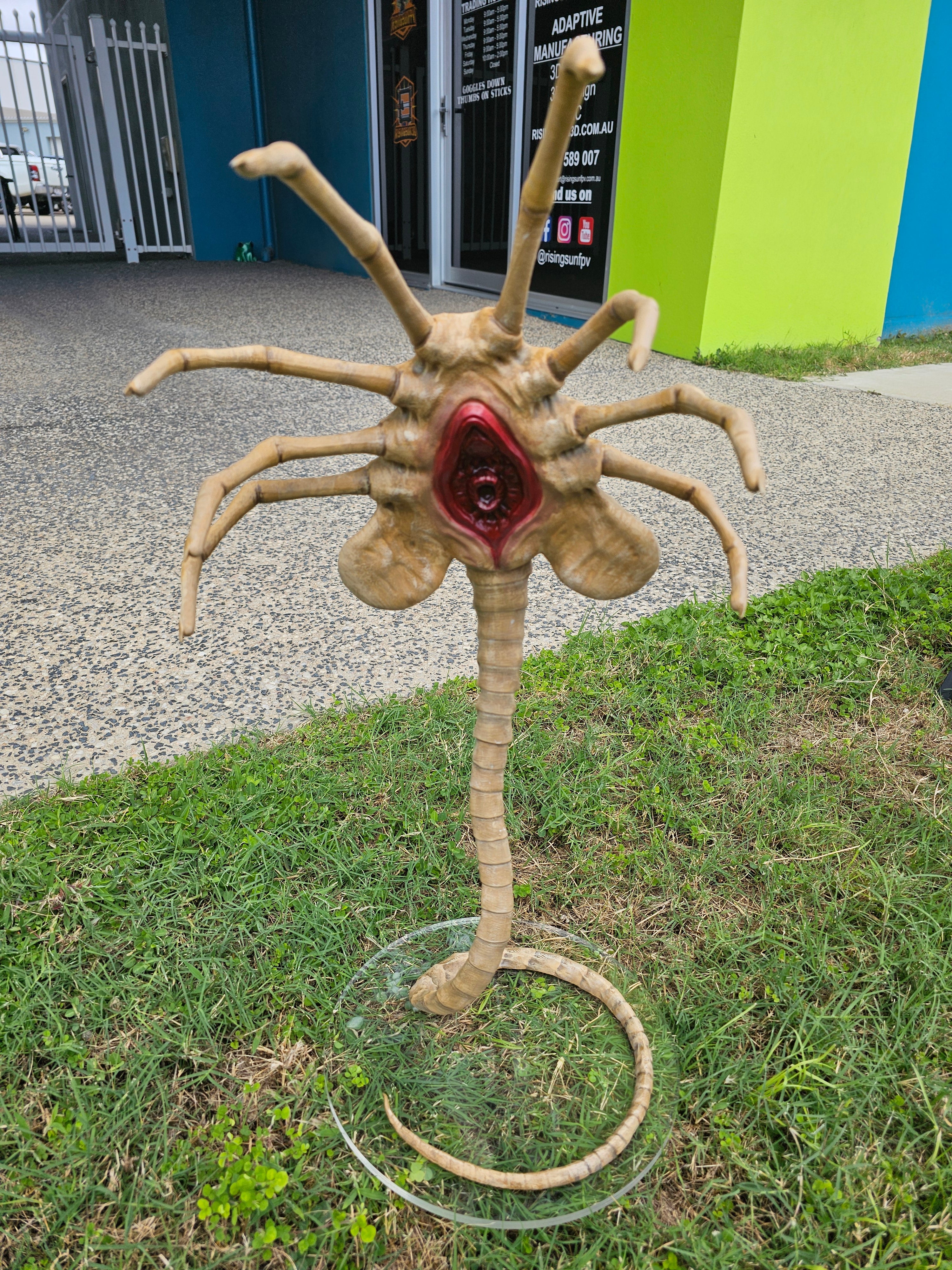 Life Sized Alien Facehugger Prop