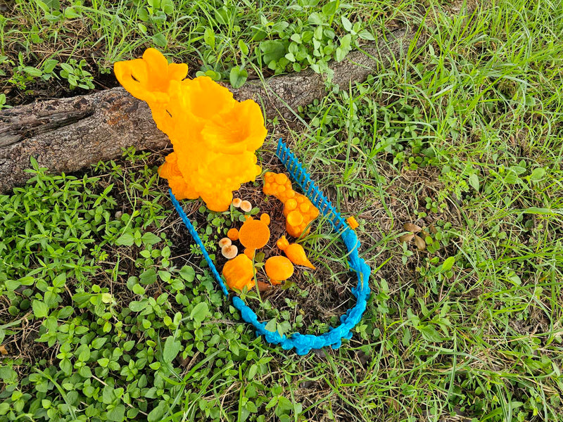 DIY 3D Printed Fairy Garden Kit