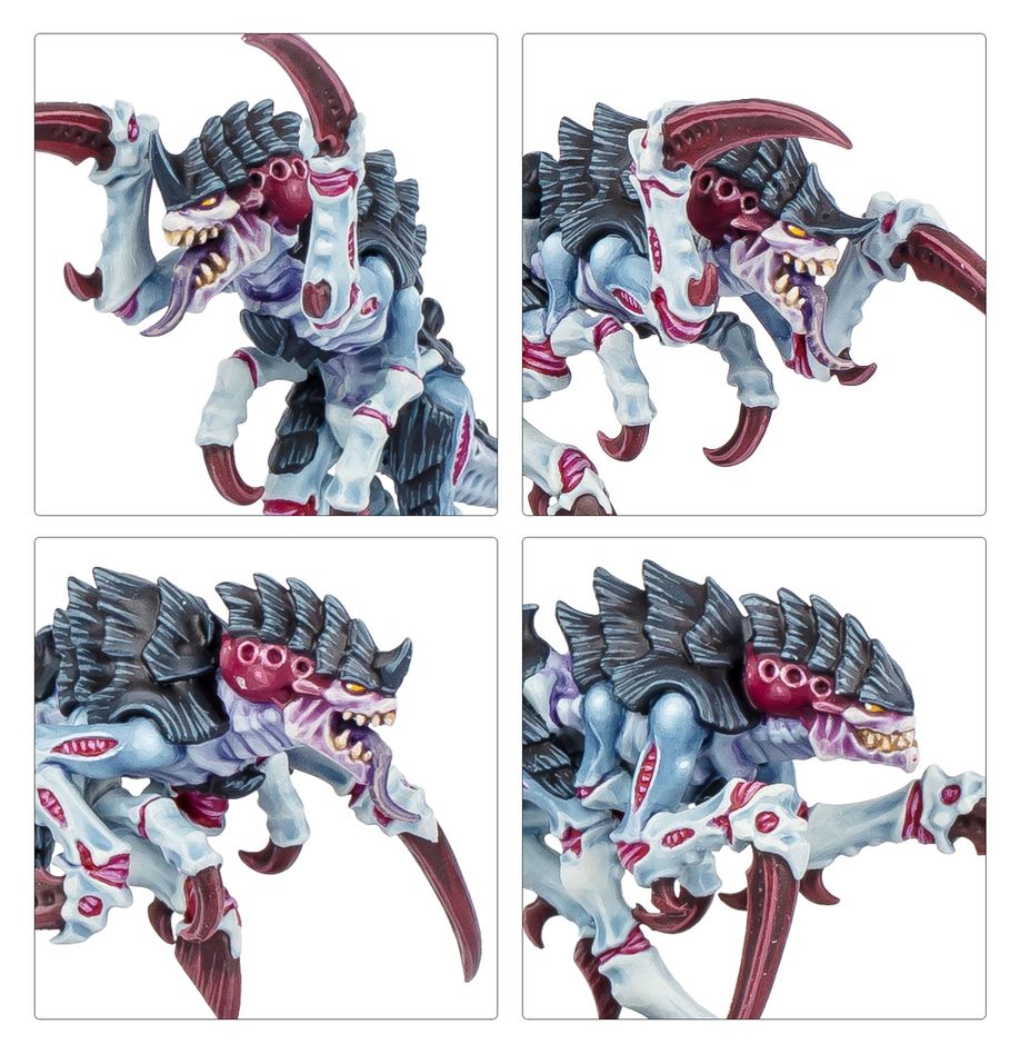 103-88 KILL TEAM: TYPHON (ENGLISH)