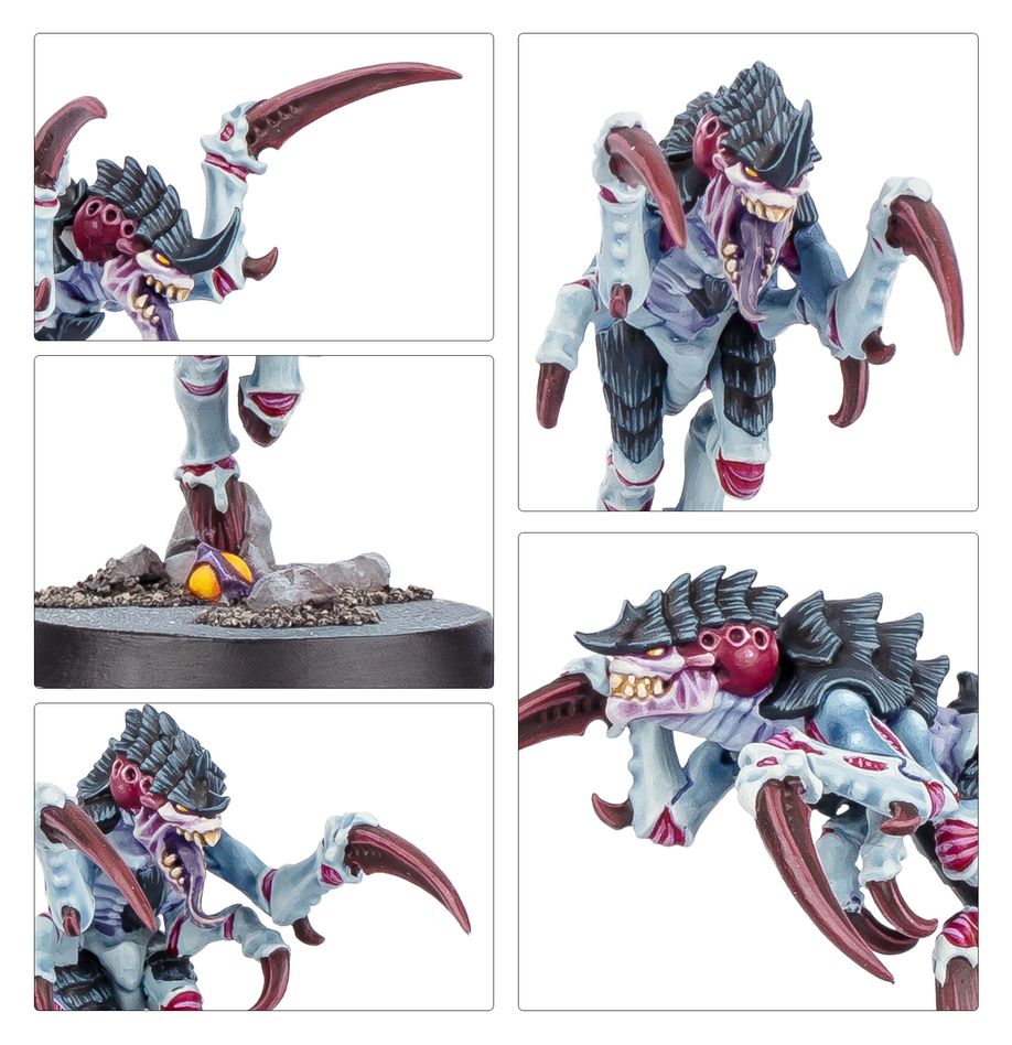 103-88 KILL TEAM: TYPHON (ENGLISH)