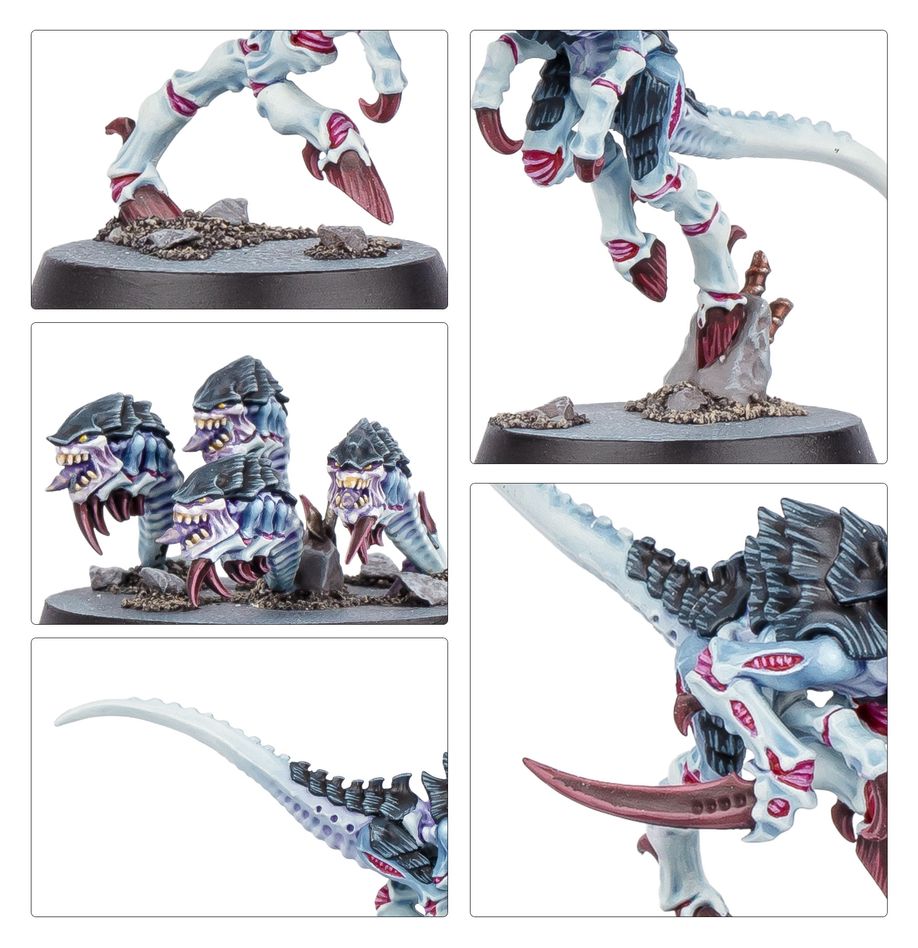 103-88 KILL TEAM: TYPHON (ENGLISH)