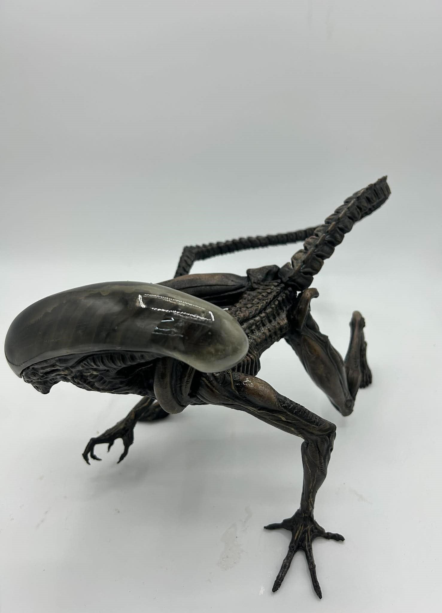 Small Xeno dog (Xeno Pup)
