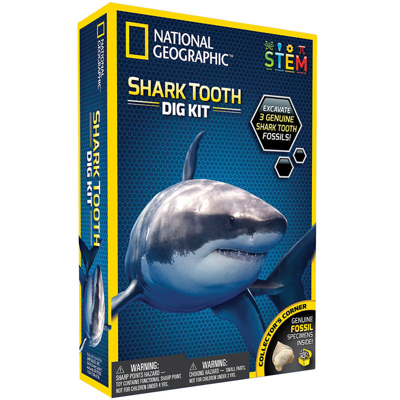 Shark Tooth Dig Kit