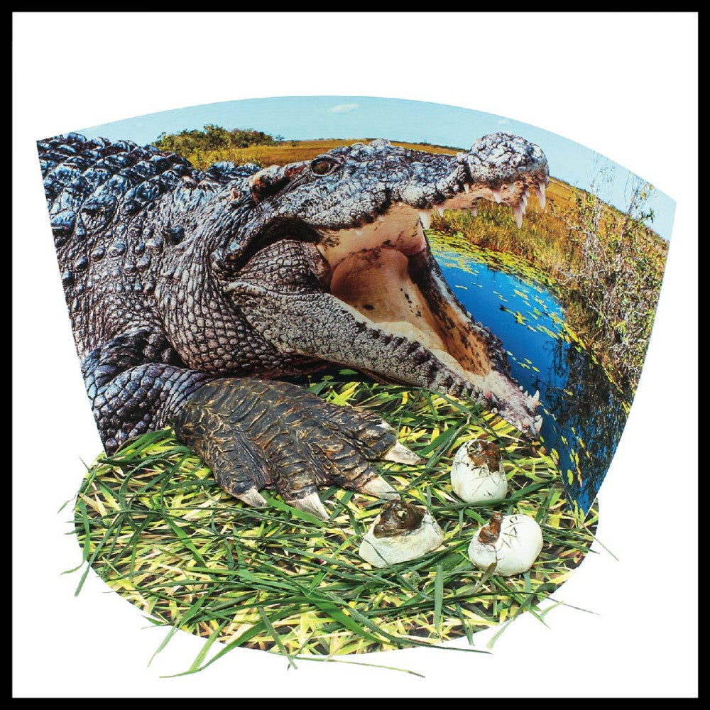 Australian Geographic Extreme Crocs