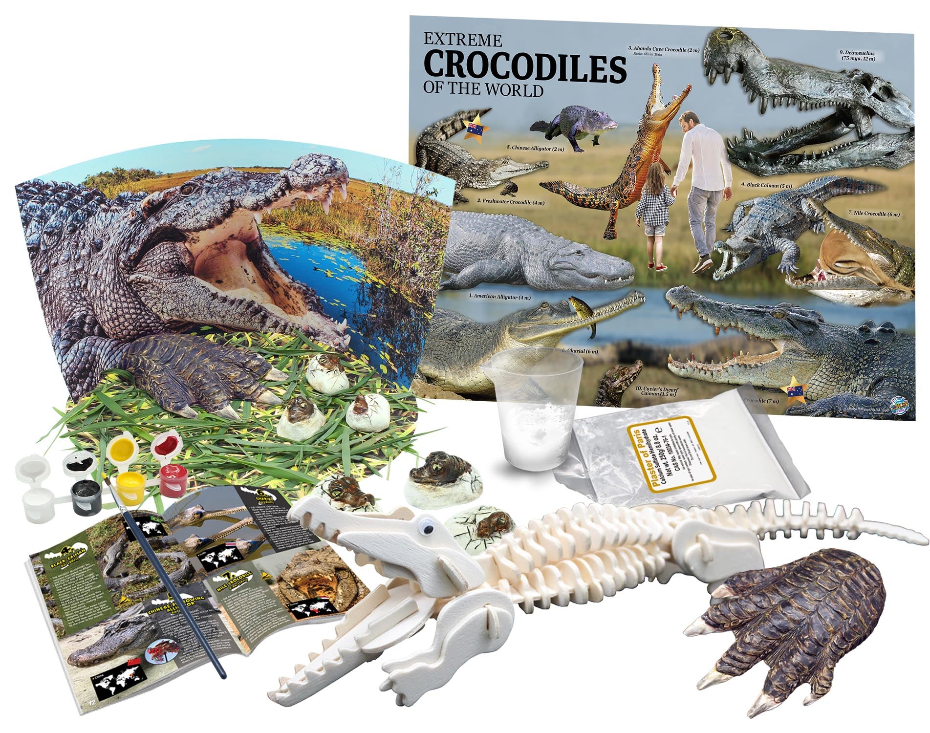Australian Geographic Extreme Crocs