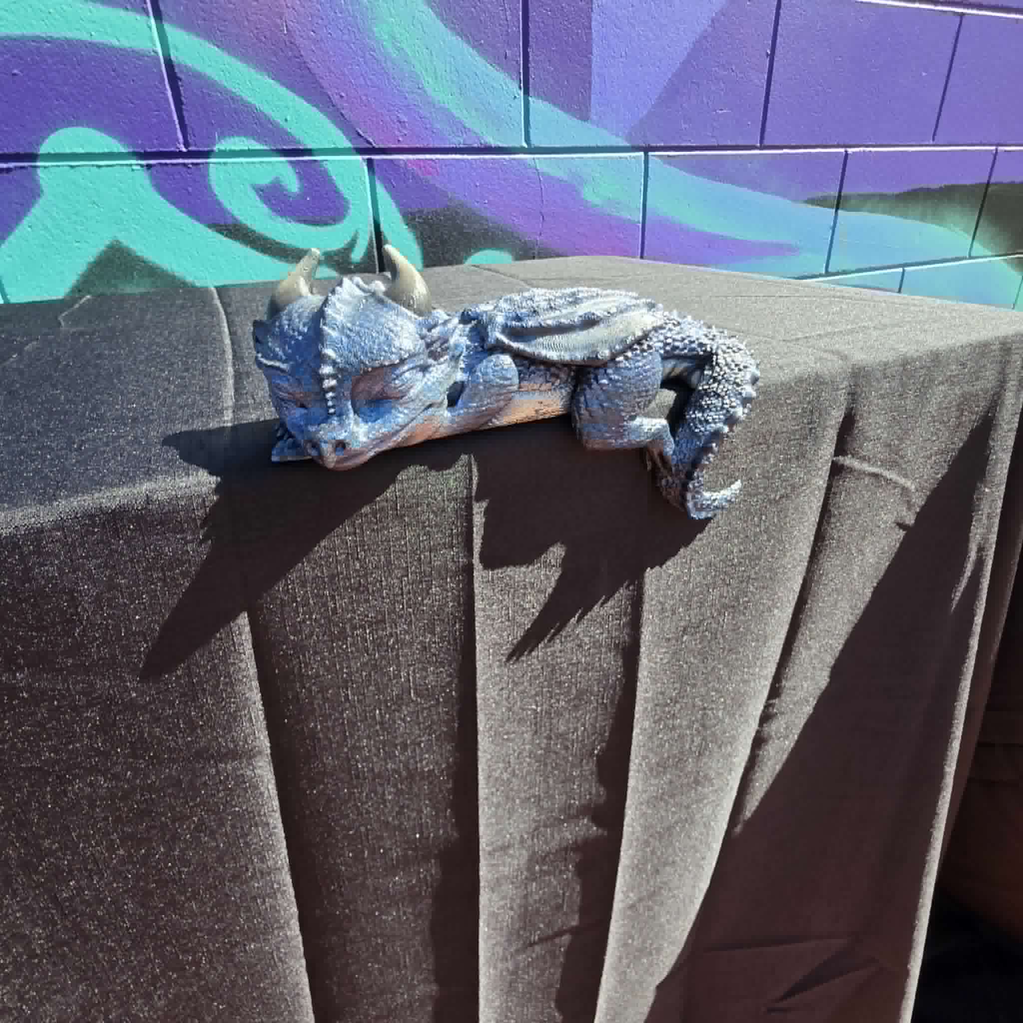 Sleeping dragon
